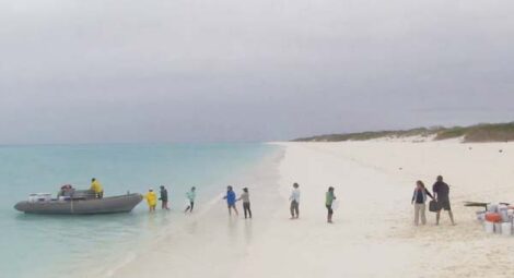 Volunteers needed for habitat restoration work in Kure Atoll